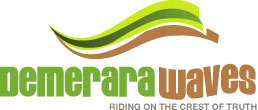demerara waves logo